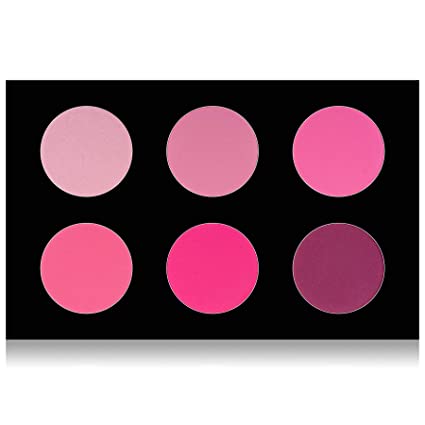 SHANY Shimmer & Matte Cool-Toned Blush Palette – Layer 5 – Refill for the 6 Layer Mini Masterpiece Collection Makeup Set