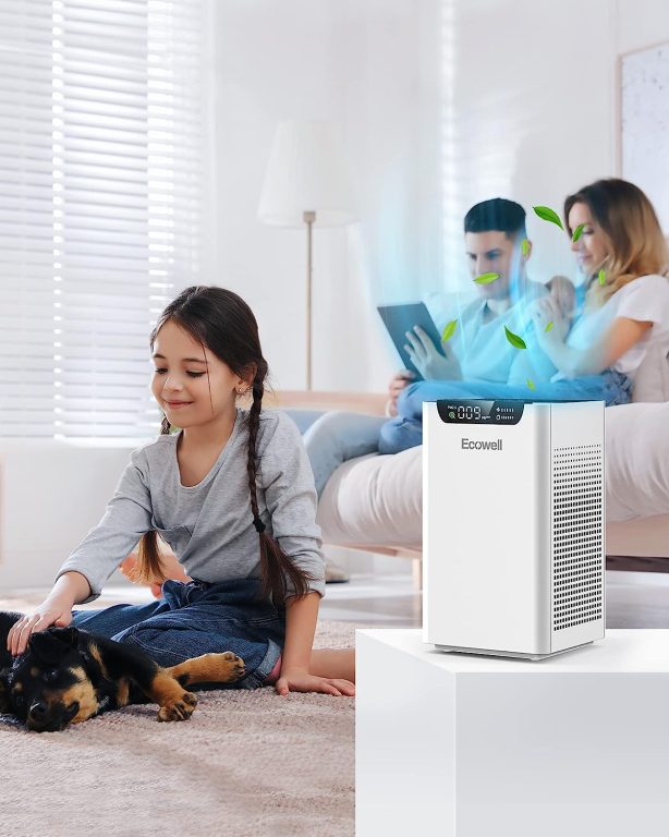 ECOWELL Air Purifiers for Large Room with H13 True HEPA Filter, Auto Mode, PM2.5 Monitor, 24 dB Quiet Sleep Mode Air Cleaner Clean 99.97% of Dust, Smoke, Odor, EAP260, White, 8.7 x 8.7 x 14.5 inch