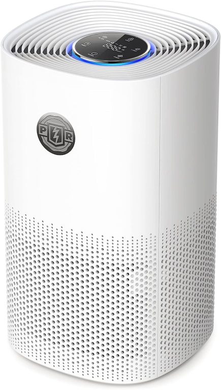 Air Purifiers for Home Bedroom, PARIS RHÔNE H13 True HEPA Air Filter Air Cleaner for Pet Smoke Pollen Dander Hair Smell, Portable Air Purifiers with Air Quality Sensor, Sleep Mode，Auto Mode, Timer,