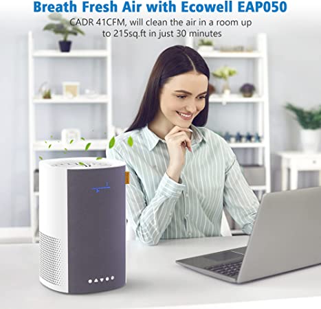 ECOWELL Air Purifiers for Bedroom, Desktop Air Purifier for Home large Room up to 215 sq.ft, H13 True HEPA Filter with Sleep Mode, Ozone Free, Removing 99.97% of Smoke, Dust, Odors, Pet Dander, EPA050