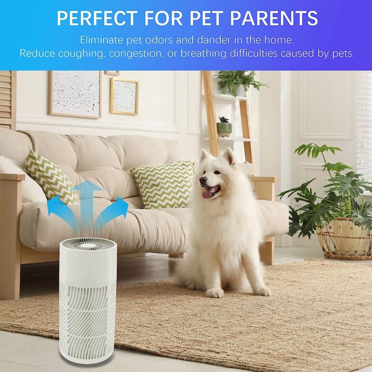 Nuwave Air Purifier XXL H13 HEPA filter for Large Home Bedroom Allergies, dB17 Sleep Silent, Remove 99.99% Smoke Dust Mold Pollen Bacteria Pet Hair Odor, Ozone Free, Air Quality Sensor, CARB certified