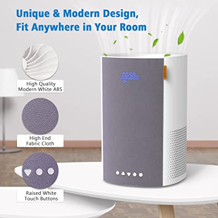 ECOWELL Air Purifiers for Bedroom, Desktop Air Purifier for Home large Room up to 215 sq.ft, H13 True HEPA Filter with Sleep Mode, Ozone Free, Removing 99.97% of Smoke, Dust, Odors, Pet Dander, EPA050