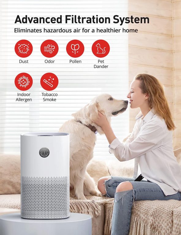 Air Purifiers for Home Bedroom, PARIS RHÔNE H13 True HEPA Air Filter Air Cleaner for Pet Smoke Pollen Dander Hair Smell, Portable Air Purifiers with Air Quality Sensor, Sleep Mode，Auto Mode, Timer,