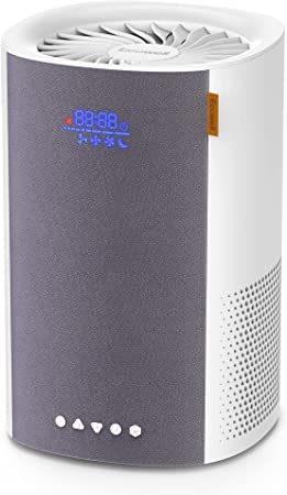 ECOWELL Air Purifiers for Bedroom, Desktop Air Purifier for Home large Room up to 215 sq.ft, H13 True HEPA Filter with Sleep Mode, Ozone Free, Removing 99.97% of Smoke, Dust, Odors, Pet Dander, EPA050