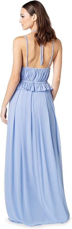 Dress the Population Women’s Athena Fit and Flare Maxi Dress