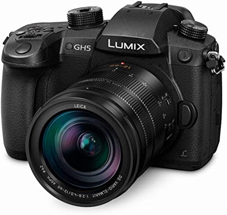 Panasonic LUMIX GH5 4K Mirrorless Camera with Lecia VARIO-Elmarit 12-60mm F2.8-4.0 Lens (DC-GH5LK)