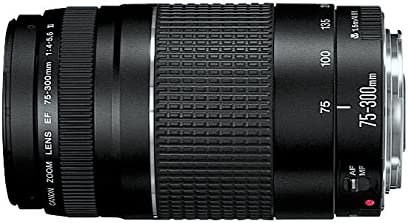 Canon EOS Rebel T5 Digital SLR Camera with EF-S 18-55mm is II + EF 75-300mm f/4-5.6 III Bundle