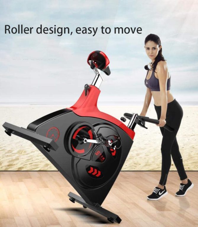 Warmth Supplies Indoor Exercise Bike, Spinning Bike Ultra-Quiet Home High-End Exercise Bike Fitness Equipment Weight Loss Pedal Sports Bike