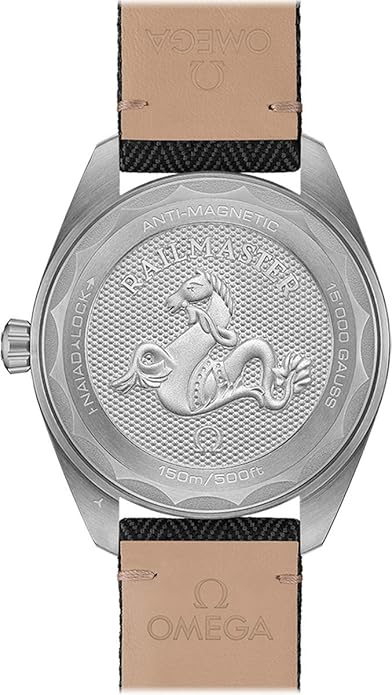 Omega Seamaster Railmaster Co-Axial Master Chronometer Mens Watch 220.12.40.20.01.001