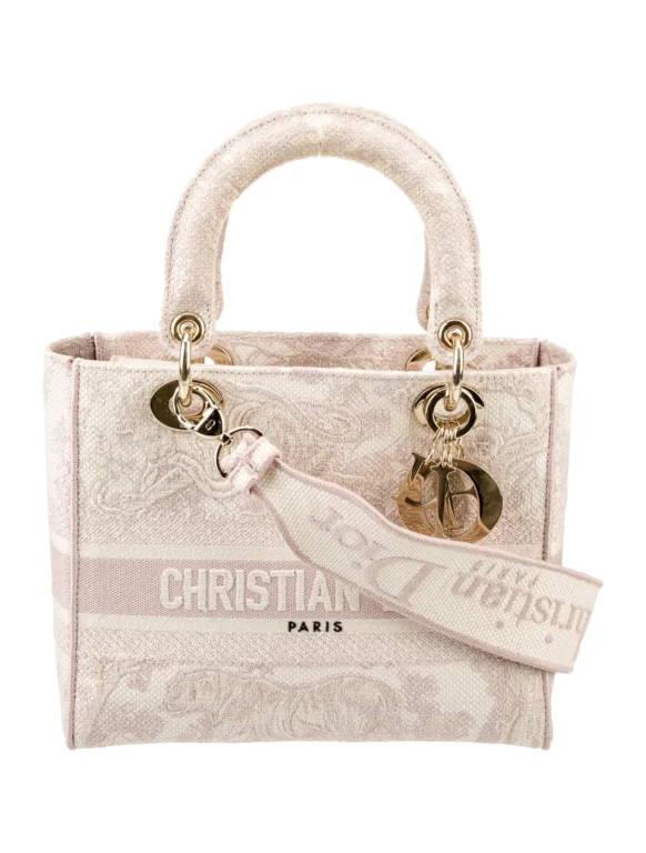 Christian Dior Canvas D-Lite Medium 2022