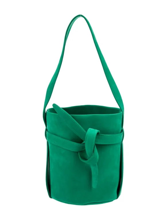 The Row Suede Leo Mini