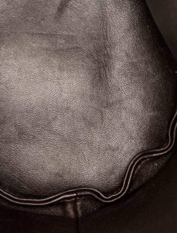 The Row Suede Leo Mini